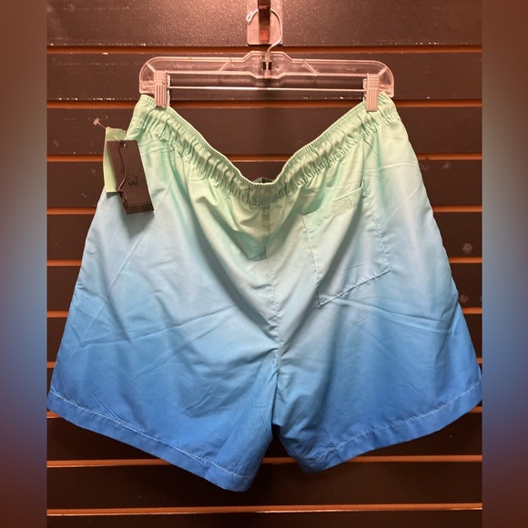 Gradient Blue Swim Shorts - Picture 3 of 3